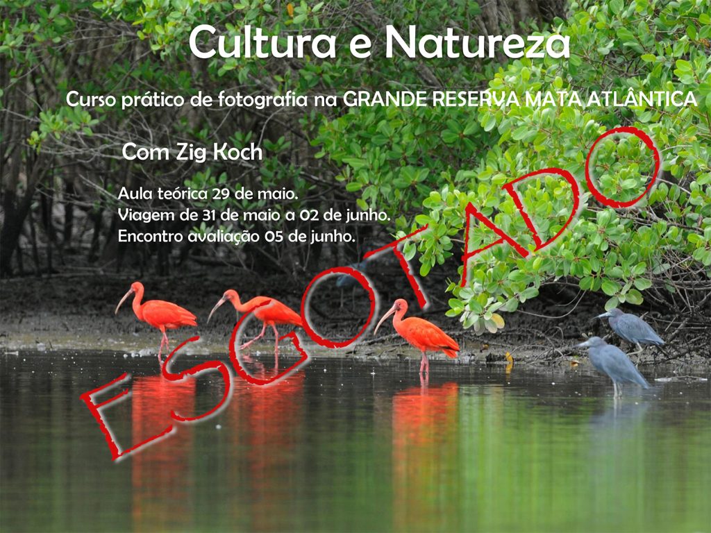 Cultura e Natureza