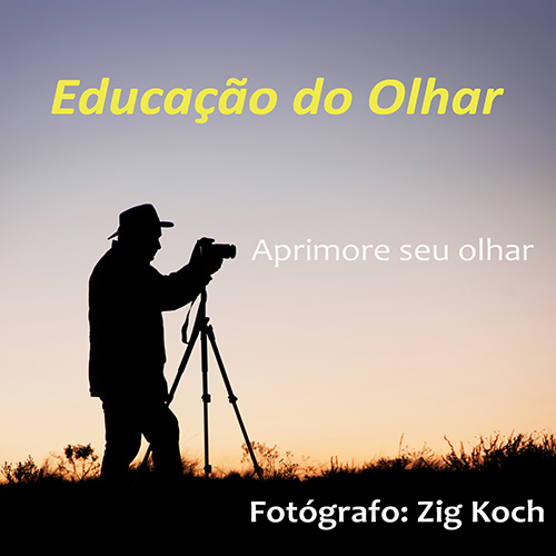 Curso on-line EDUCAÇÃO DO OLHAR